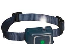 PetSafe Spray Bark Dog Collar Review petsafe spray bark dog collar automatic anti bark device for dogs 8 lb and