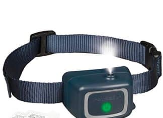 PetSafe Spray Bark Dog Collar Review petsafe spray bark dog collar automatic anti bark device for dogs 8 lb and