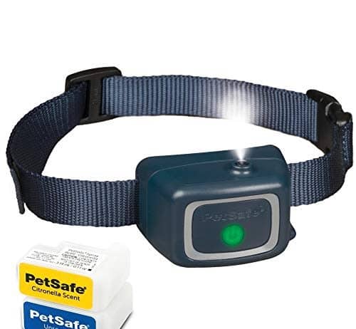PetSafe Spray Bark Dog Collar Review petsafe spray bark dog collar automatic anti bark device for dogs 8 lb and