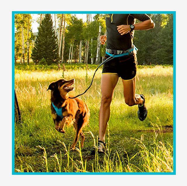 Are There Dog Leashes Specifically Designed For Jogging?