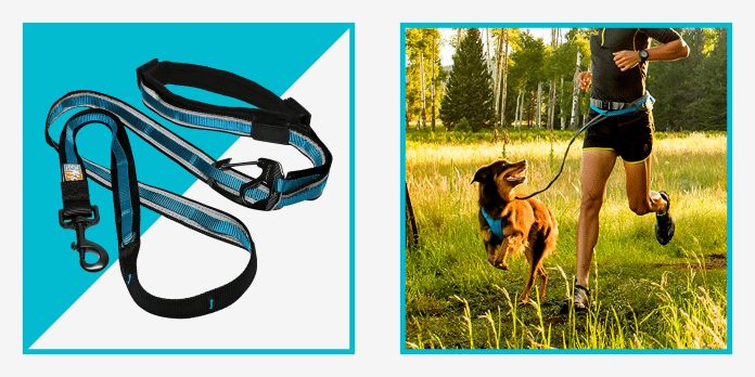 are there dog leashes specifically designed for jogging 2