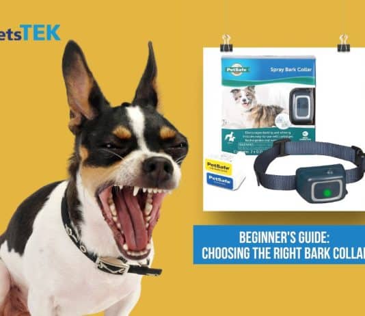 Do Bark Collars Go Off When Other Dogs Bark? do bark collars go off when other dogs bark 3