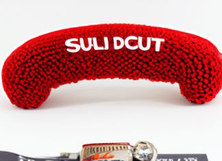 Do Professional Dog Trainers Use Shock Collars? do professional dog trainers use shock collars