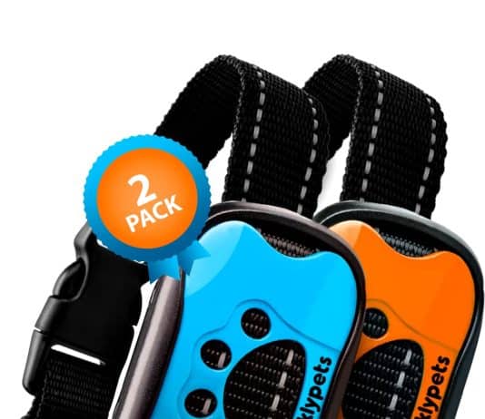 Is There A Humane Bark Collar? is there a humane bark collar 5
