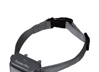 What Are The Negatives Of Bark Collars? what are the negatives of bark collars 1