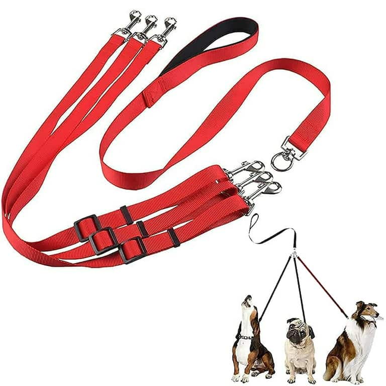 What Is A Coupler Leash, And When Should I Use One?