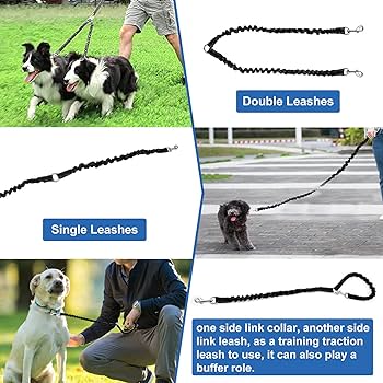 What Is A Coupler Leash, And When Should I Use One?