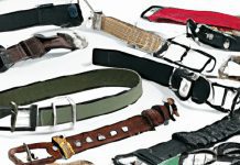 What Is The Safest Dog Training Collar? what is the safest dog training collar