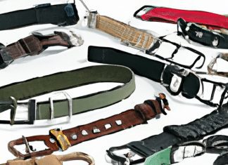 What Is The Safest Dog Training Collar? what is the safest dog training collar