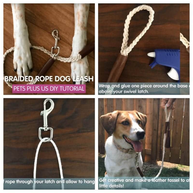 What Materials Are Dog Leashes Made From?