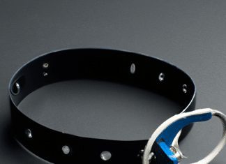 When Should You Use A Bark Collar? when should you use a bark collar