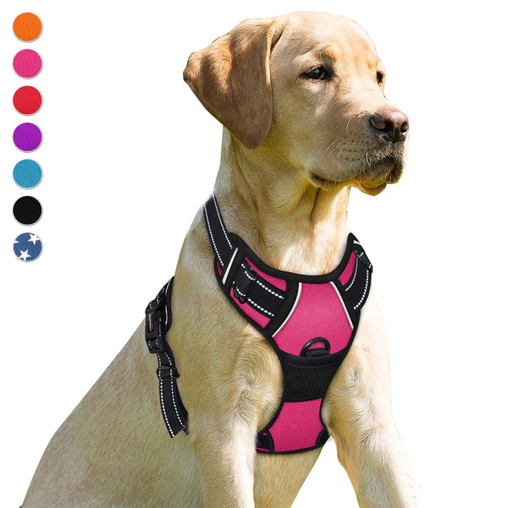 Why Use A Front Clip Dog Harness? Why Use A Front Clip Dog Harness?