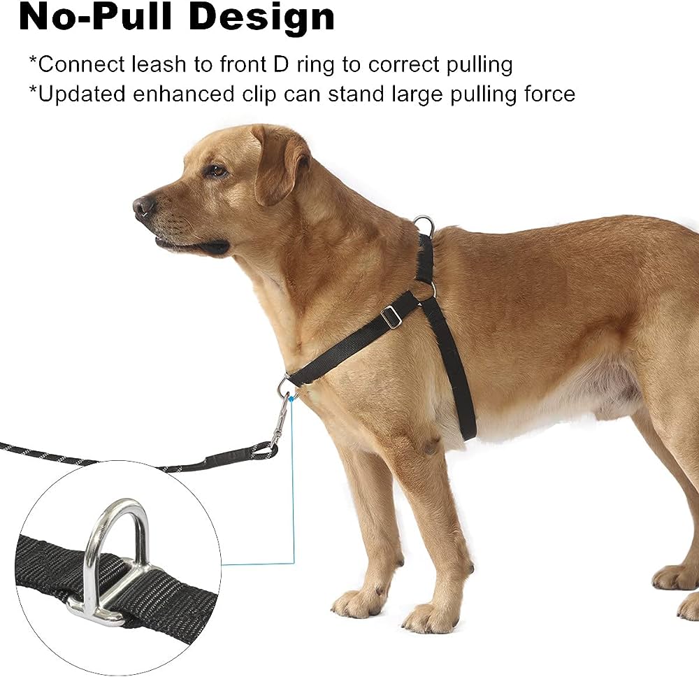 Why Use A Front Clip Dog Harness? Why Use A Front Clip Dog Harness?