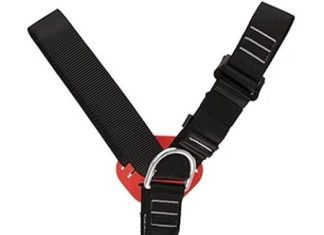 Are There Special Harnesses For Dogs With Mobility Issues? are there special harnesses for dogs with mobility issues
