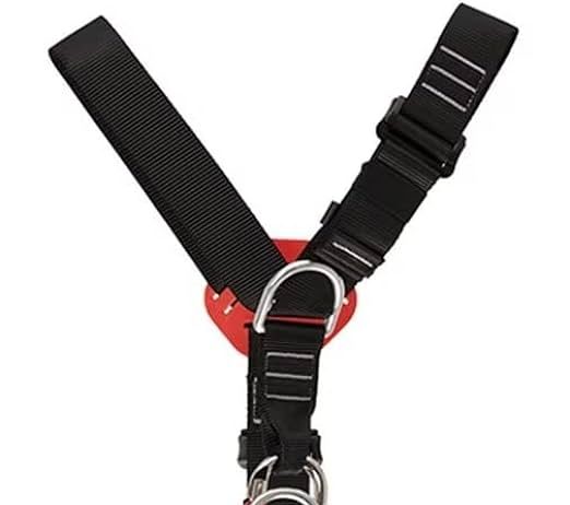 Are There Special Harnesses For Dogs With Mobility Issues? are there special harnesses for dogs with mobility issues
