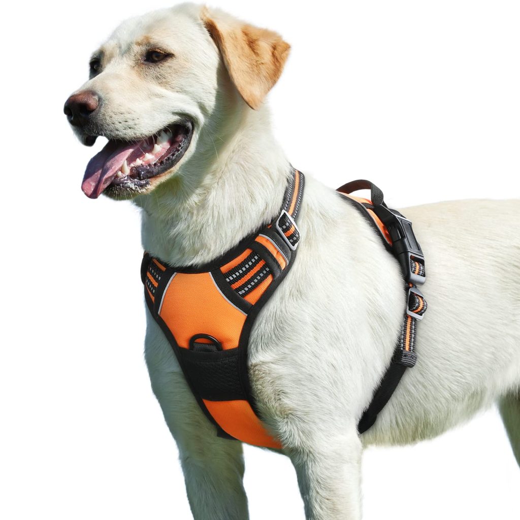Can Harnesses Be Used For Dogs Who Pull A Lot?