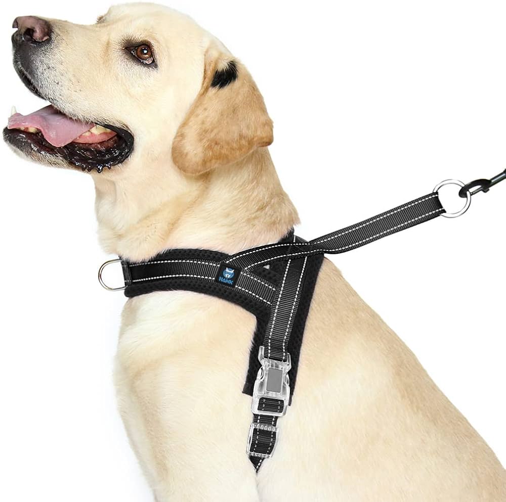 Can Harnesses Be Used For Dogs Who Pull A Lot?