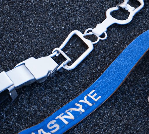 Can I Attach A Leash To A Dog’s Collar And Harness Simultaneously? can i attach a leash to a dogs collar and harness simultaneously
