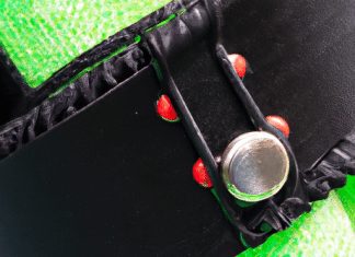 Do Vets Recommend Bark Collars? do vets recommend bark collars