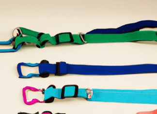 How Do I Introduce My Dog To Wearing A Harness For The First Time? how do i introduce my dog to wearing a harness for the first time