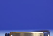 What Is The Best Collar For A Dog That Stops Barking? what is the best collar for a dog that stops barking