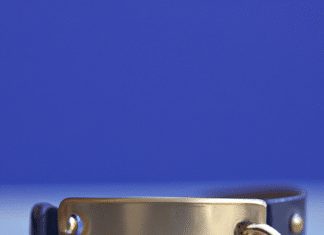 What Is The Best Collar For A Dog That Stops Barking? what is the best collar for a dog that stops barking