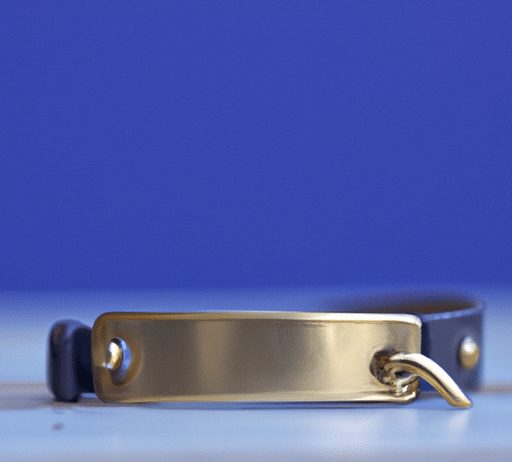 What Is The Best Collar For A Dog That Stops Barking? what is the best collar for a dog that stops barking