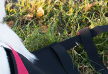 How Do I Clean A Mesh Dog Harness? how do i clean a mesh dog harness