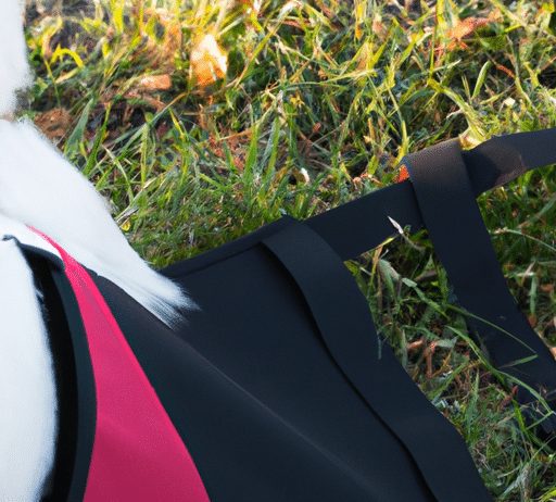 How Do I Clean A Mesh Dog Harness? how do i clean a mesh dog harness