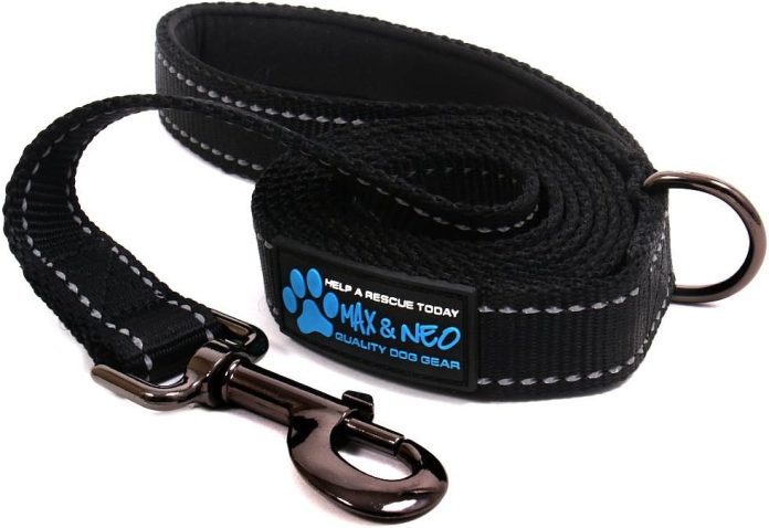 comparing reflective dog leashes max and neos options