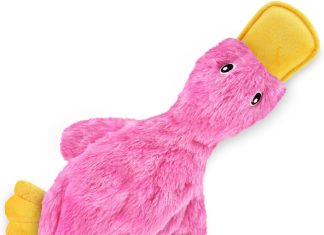 Best Pet Supplies Crinkle Dog Toy Review best pet supplies crinkle dog toy review