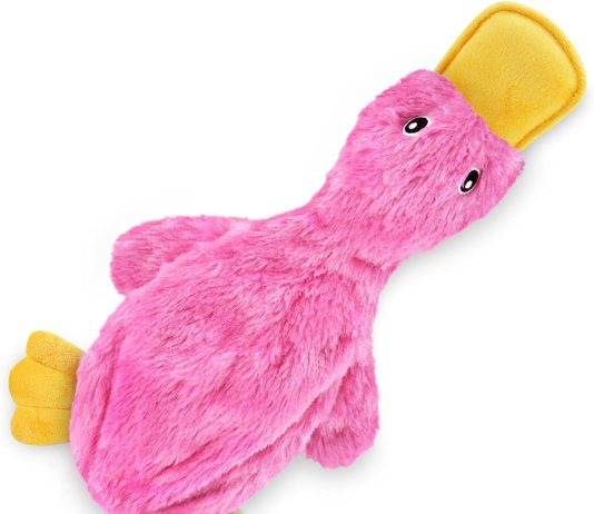 Best Pet Supplies Crinkle Dog Toy Review best pet supplies crinkle dog toy review