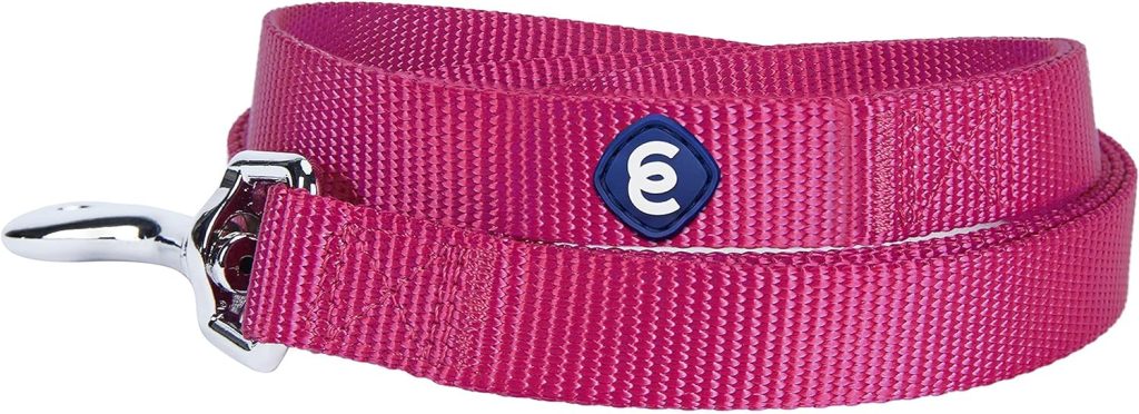 Blueberry Pet Essentials 21 Colors Durable Classic Dog Leash 5 ft x 3/4, Very Berry, Medium, Basic Nylon Leashes for Dogs