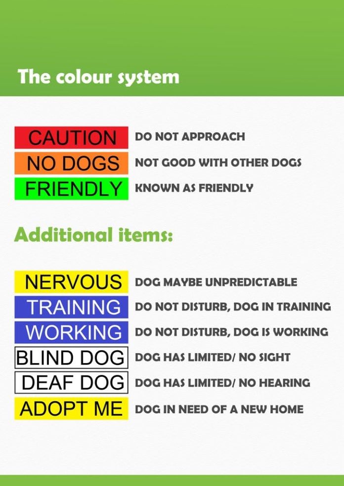 comparing 5 dog leashes a review and comparison