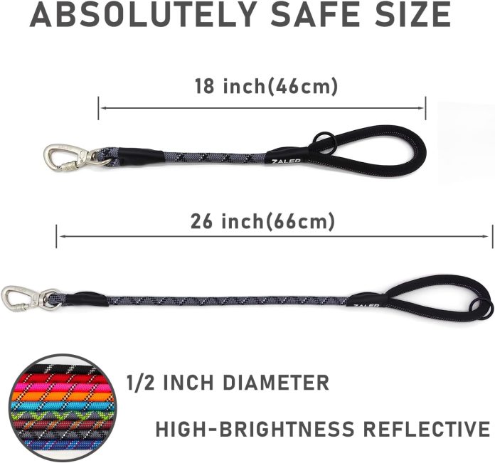 comparing 5 dog leashes for different breeds