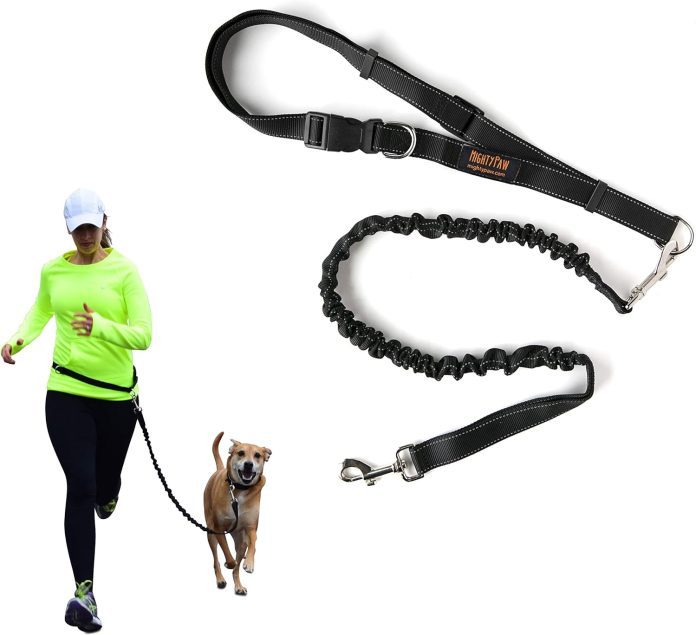 comparing 5 dog leashes hands free double handle reflective and more