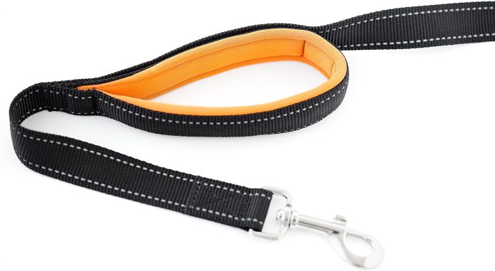 comparing 5 dog leashes safety durability and comfort