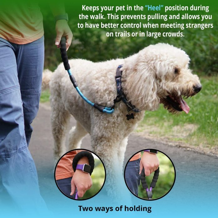 comparing 5 dog leashes which one is best for your pup
