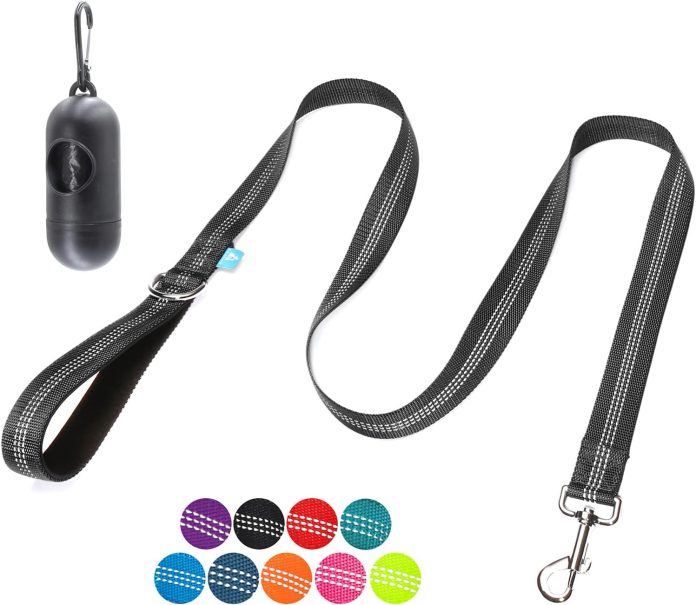 comparing 5 reflective dog leashes for walking training and more