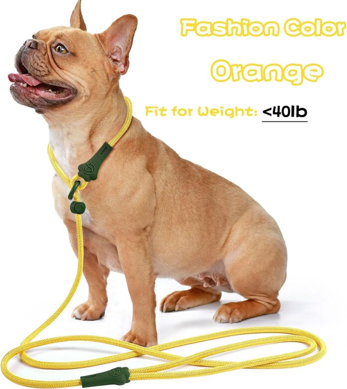 comparing and reviewing 5 dog leashes which is best