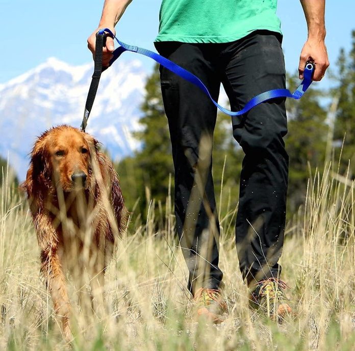 comparing heavy duty dog leashes leashboss vs joytale vs tuff pupper vs enthusiast gear vs primal pet gear