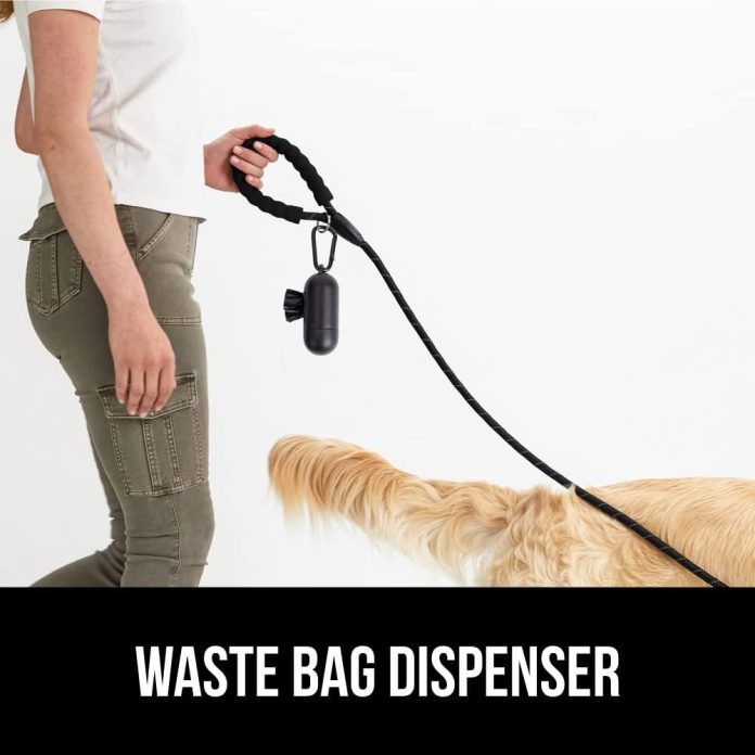 dog leash review 5 products compared