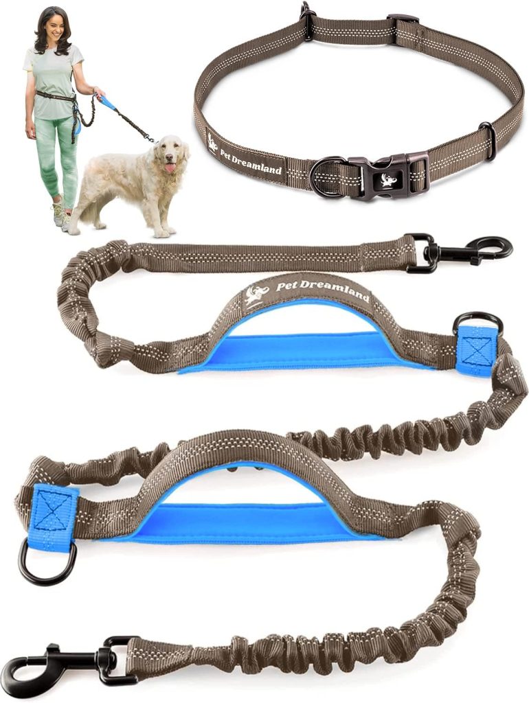 Exquisite Waist Leash for Dog Walking Large Dogs | Hands Free Dog Leash | Dog Running Leash | Dog Hiking Gear | Service Dog Leash | Bungee Dog Leash | Hands Free Leash