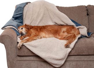 Furhaven Waterproof Throw Blanket Review furhaven waterproof throw blanket review