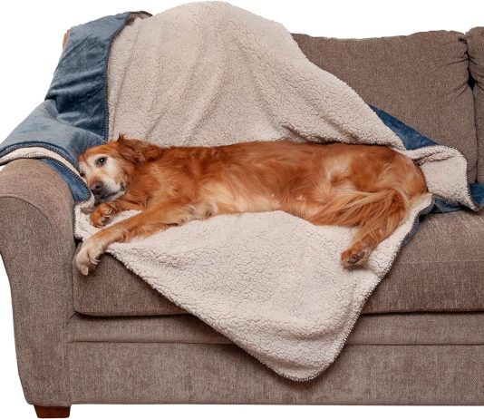 Furhaven Waterproof Throw Blanket Review furhaven waterproof throw blanket review