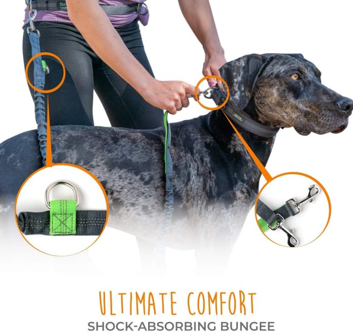 hands free dog leashes a comparative review