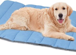 Heeyoo Outdoor Dog Bed Review heeyoo outdoor dog bed review