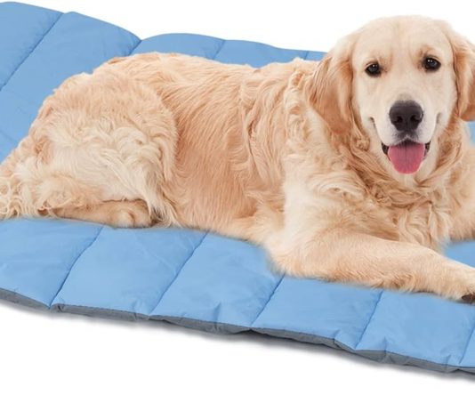 Heeyoo Outdoor Dog Bed Review heeyoo outdoor dog bed review