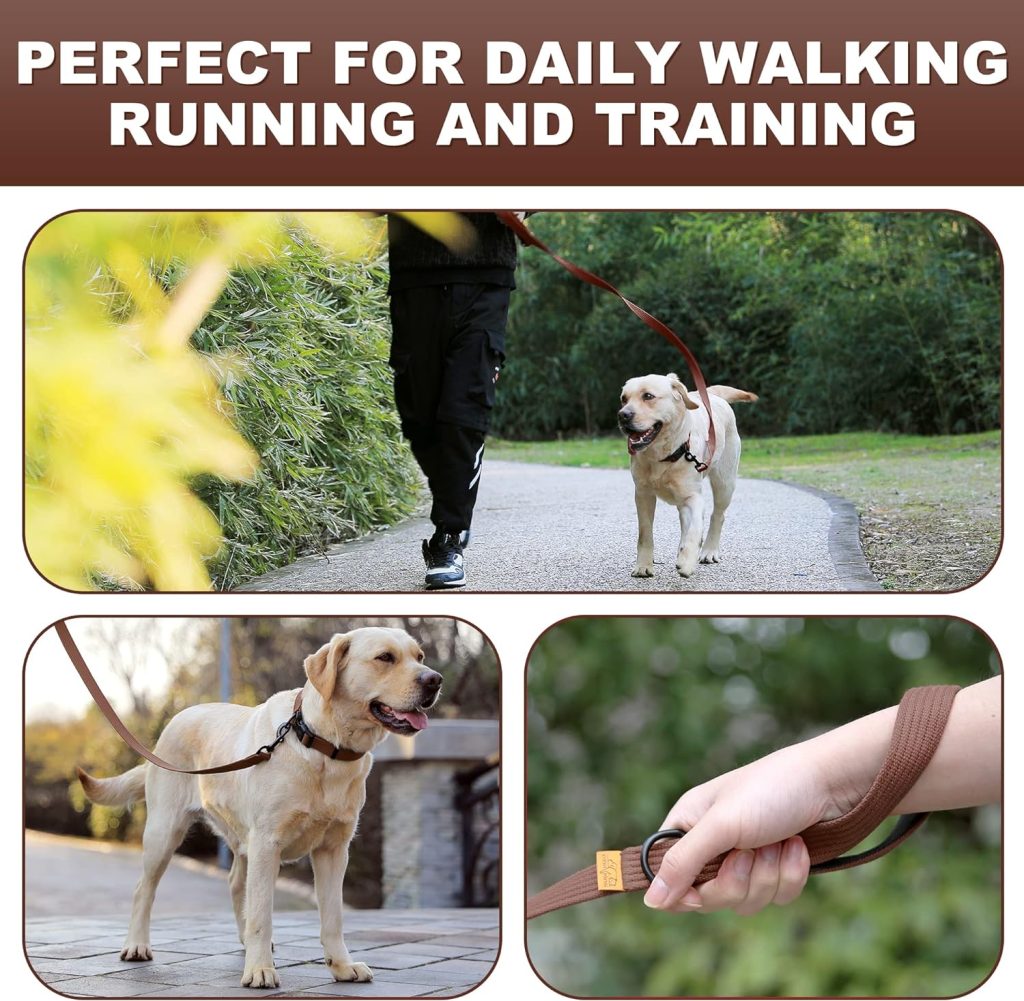 lynxking Dog Training Leash Double Handle Dog Leash Heavy Duty 6ft Webbing 2 Padded Handles Leash Long Reflective Safety Walking Lead for Small Medium Large Dogs