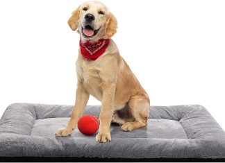 Metal Kennel Pad Review metal kennel pad review